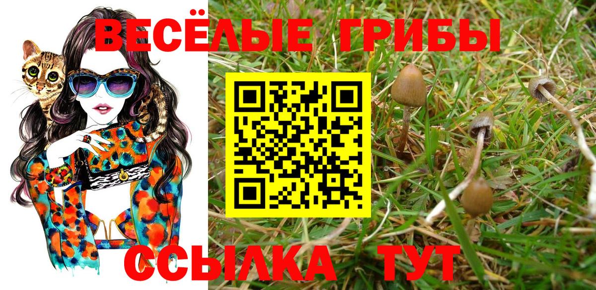 Галлюциногенные грибы мухоморы Малоярославец