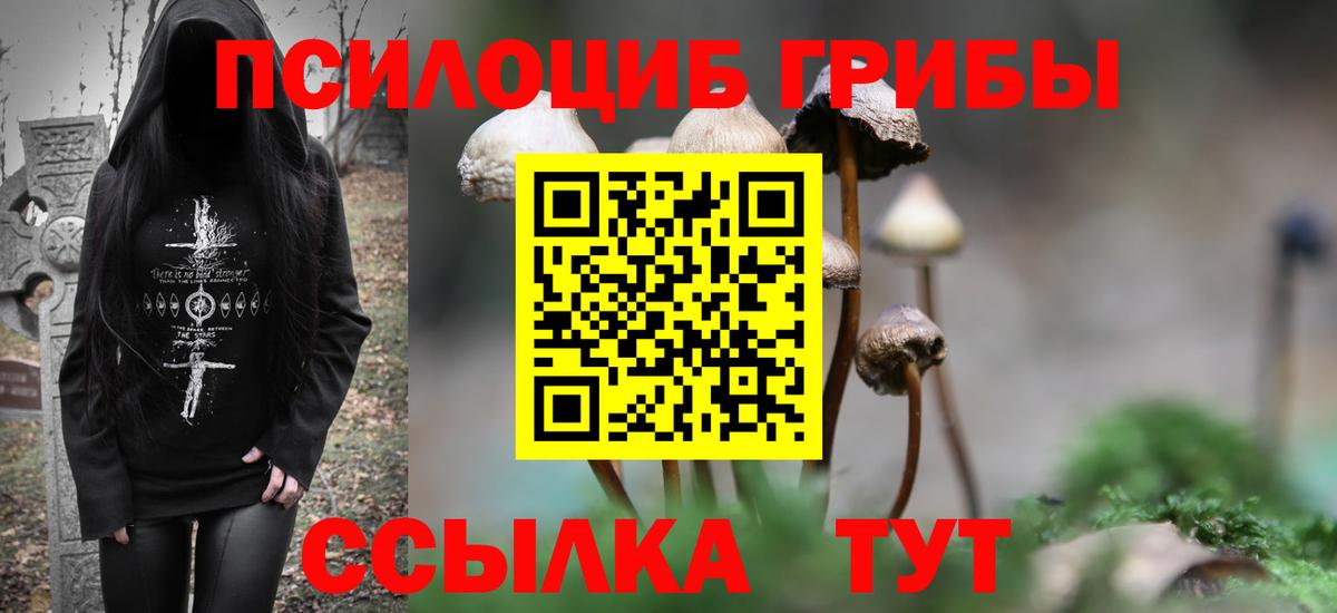 Псилоцибиновые грибы мухоморы  Галлюциногенные грибы мухоморы  Вход с VPN  Малоярославец 
